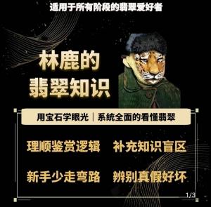 林鹿的翡翠知识，​用宝石眼光，系统全面的看懂翡翠-云泽轻创网