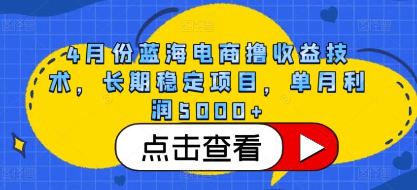 4月份蓝海电商撸收益技术，长期稳定项目，单月利润5000+【揭秘】-云泽轻创网