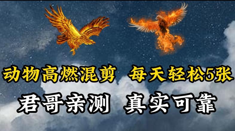 动物超燃混剪，每天轻松5张，剪辑简单大家爱看【揭秘】-云泽轻创网