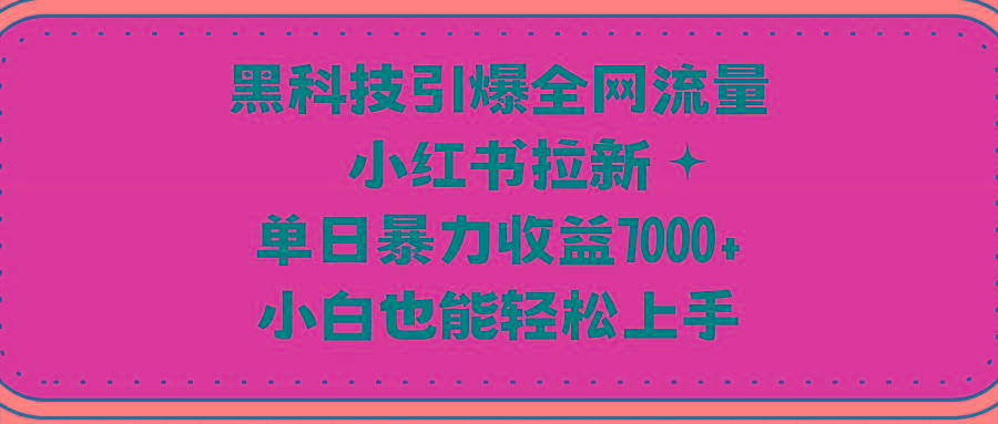 (9679期)黑科技引爆全网流量小红书拉新，单日暴力收益7000+，小白也能轻松上手-云泽轻创网