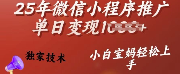 25年微信小程序推广单日变现多张，独家技术，小白宝妈轻松上手【揭秘】-云泽轻创网