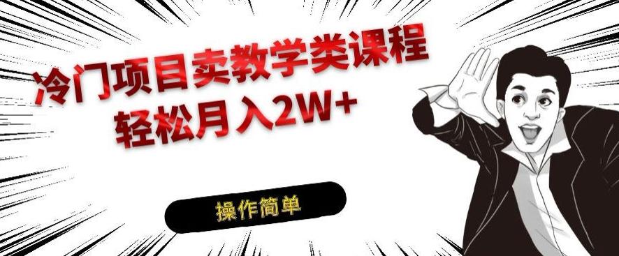 冷门项目卖教学类课程，轻松月入2W+-云泽轻创网