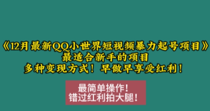 12月最新QQ小世界短视频暴力起号项目，最适合新手的项目，多种变现方式-云泽轻创网