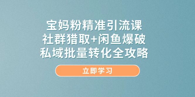 宝妈粉精准引流课，社群猎取+闲鱼爆破，私域批量转化全攻略-云泽轻创网