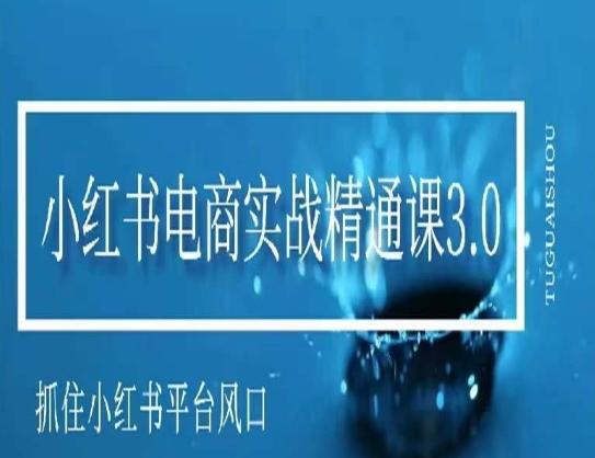 小红书电商实战精通课3.0，抓住小红书平台的风口，不错过有一个赚钱的机会-云泽轻创网