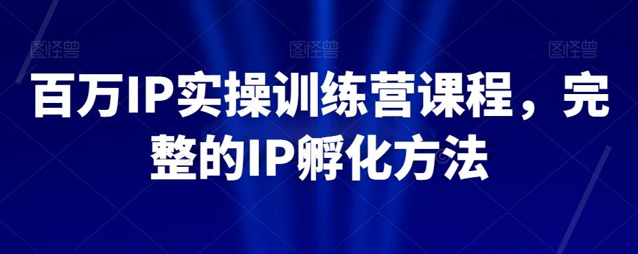 百万IP实操训练营课程，完整的IP孵化方法-云泽轻创网