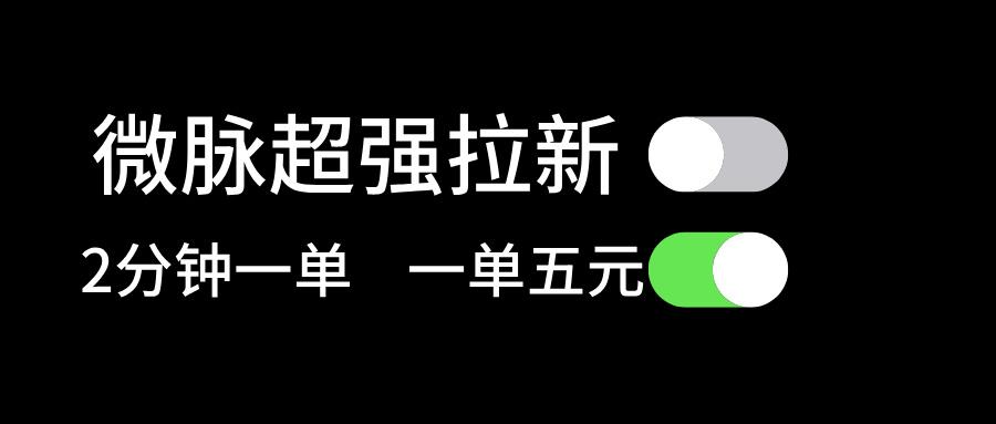 微脉超强拉新， 两分钟1单， 一单利润5块，适合小白-云泽轻创网