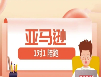 亚马逊1对1陪跑课(FBA/FBM精铺)跨境亚马逊教程-云泽轻创网