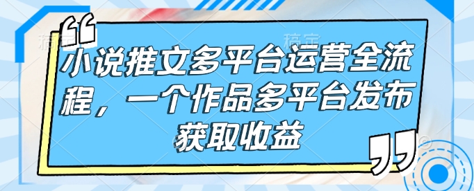 小说推文多平台运营全流程，一个作品多平台发布获取收益-云泽轻创网