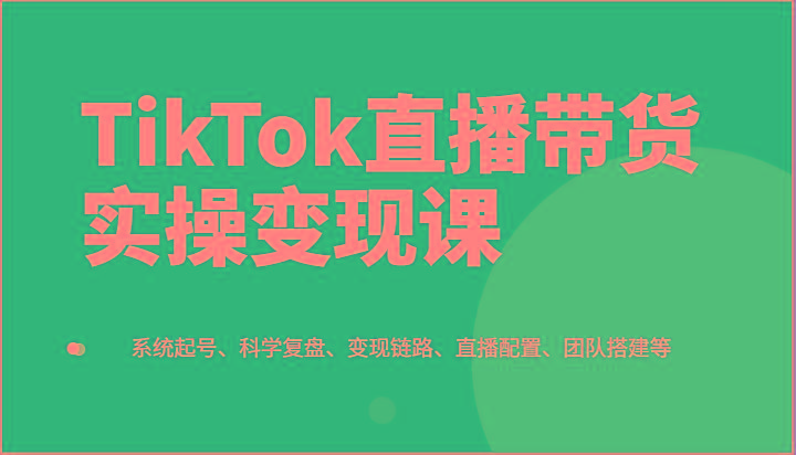 TikTok直播带货实操变现课：系统起号、科学复盘、变现链路、直播配置、团队搭建等-云泽轻创网
