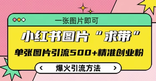小红书图片‘求带’爆火引流法，单张图片引流500+精准创业粉【揭秘】-云泽轻创网