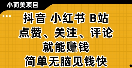 小而美的项目，抖音小红书B站视频点赞、关注、评论就能挣钱，简单无脑立见收益，妥妥的零撸项目【揭秘】-云泽轻创网