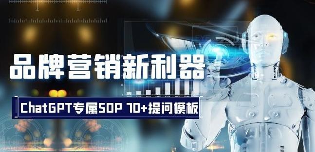 品牌营销新利器：ChatGPT专属SOP，70+提问模板【文档】-云泽轻创网