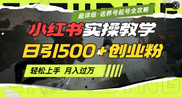 2月小红书最新日引500+创业粉实操教学【超详细】小白轻松上手，月入1W+，附小红书养号起号SOP-云泽轻创网