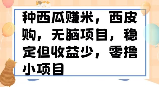 种西瓜赚米，西皮购稳定长久零撸小项目-云泽轻创网