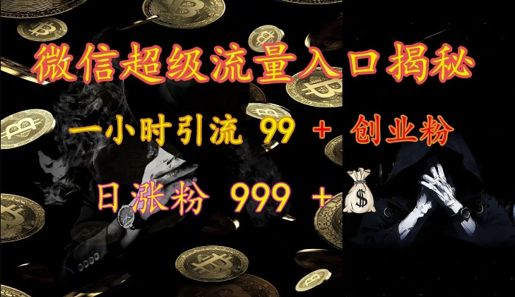 微信超级流量入口揭秘：一小时引流 99 + 创业粉，日涨粉 999 +-云泽轻创网