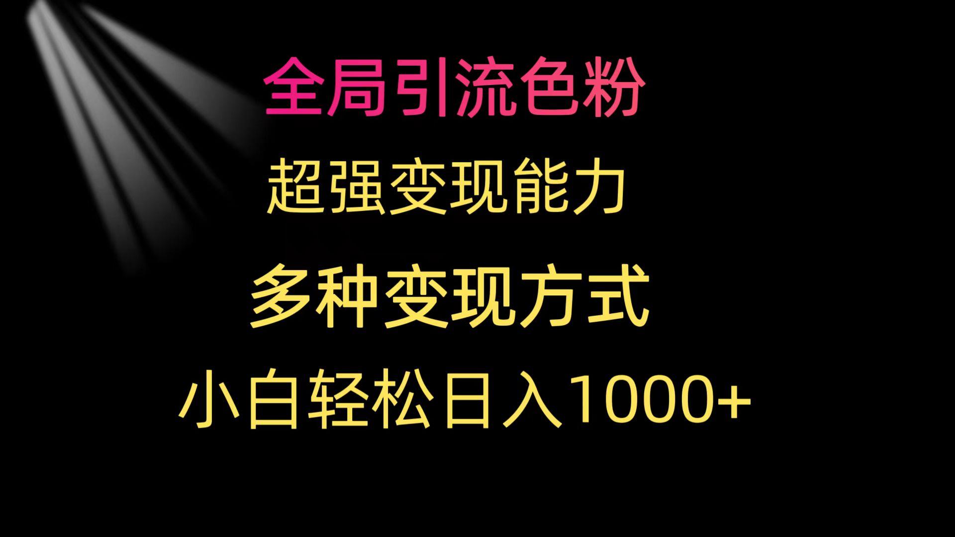 (9680期)全局引流色粉 超强变现能力 多种变现方式 小白轻松日入1000+-云泽轻创网