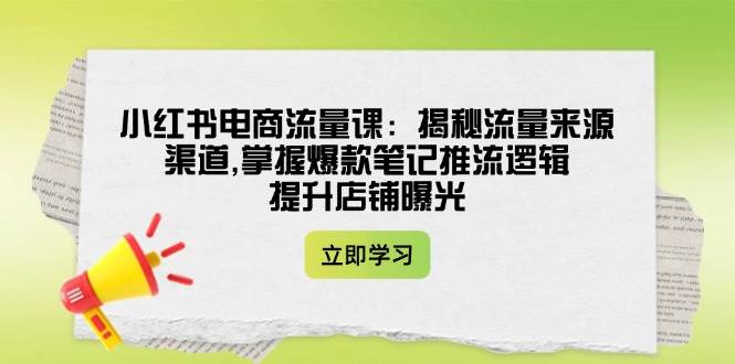 小红书电商流量课：揭秘流量来源渠道,掌握爆款笔记推流逻辑,提升店铺曝光-云泽轻创网