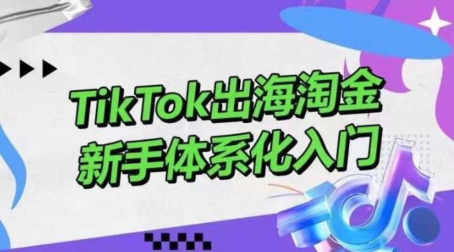 TikTok出海淘金，新手体系化入门，零基础快速入门，掌握短视频、直播带货等引流到变现的知识-云泽轻创网