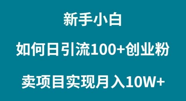 (9556期)新手小白如何通过卖项目实现月入10W+-云泽轻创网