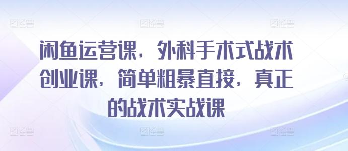 闲鱼运营课，外科手术式战术创业课，简单粗暴直接，真正的战术实战课-云泽轻创网