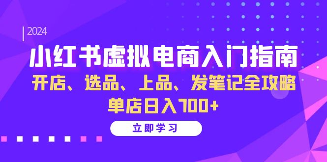 小红书虚拟电商入门指南：开店、选品、上品、发笔记全攻略 单店日入700+(更新)-云泽轻创网