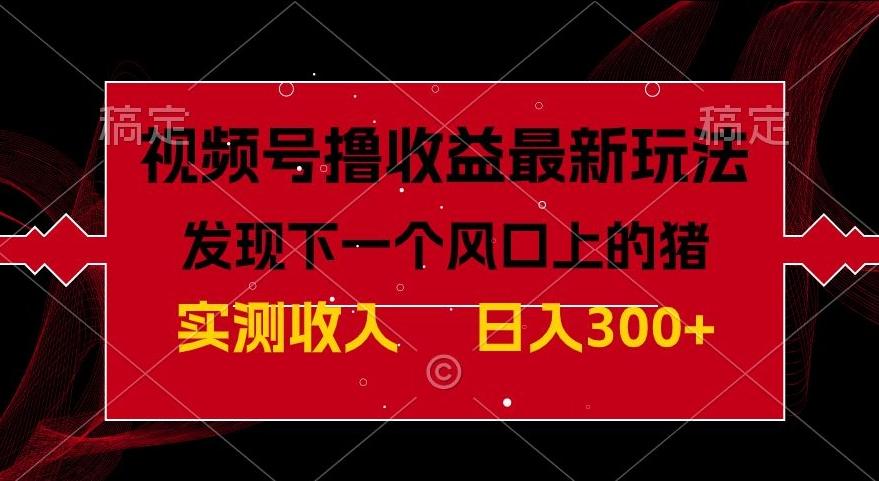 视频号分成计划最新玩法，单条作品几分钟制作完成,日入300+，过年前最后的冲刺-云泽轻创网