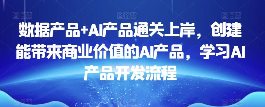 数据产品+AI产品通关上岸，创建能带来商业价值的AI产品，学习AI产品开发流程-云泽轻创网