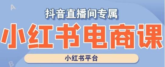 小红书电商高级运营课程，实操教学+案例分析-云泽轻创网