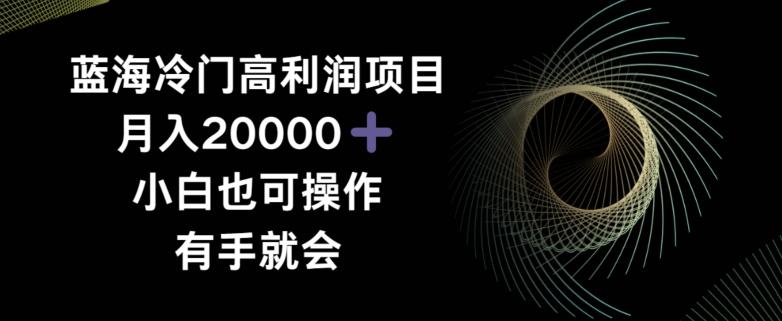 蓝海冷门高利润项目月入2000，小白也可操作有手就会-云泽轻创网