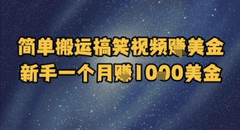 简单搬运搞笑视频挣美金，新手一个月入1k美金-云泽轻创网