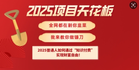 2025项目天花板普通人如何通过知识付费，实现财F自由【揭秘】-云泽轻创网