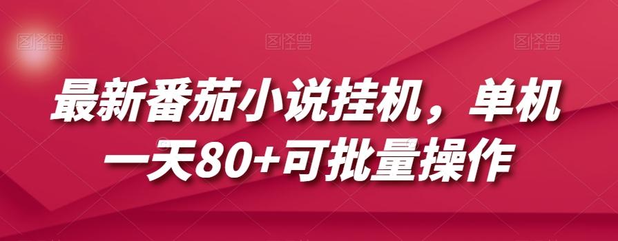 最新番茄小说挂机，单机一天80+可批量操作【揭秘】-云泽轻创网