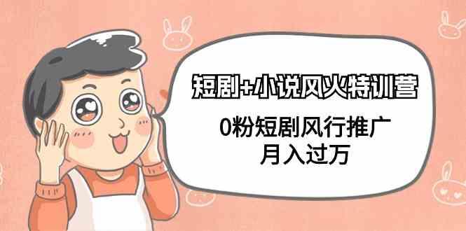 小说+短剧风火特训营，0粉短剧小说风行推广，实现月入过万-云泽轻创网